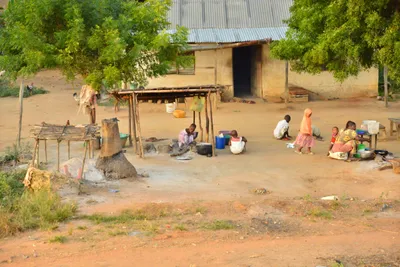 DSC_4298 (Large).JPG